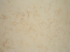 GOLDEN CREME LIMESTONE 3CM LOT 3P48306 cl 112X68